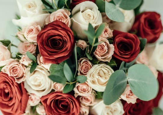 Roses