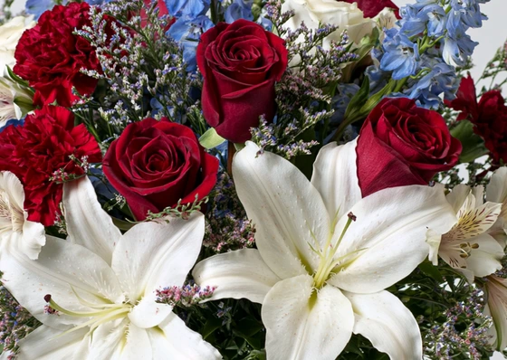 Independence Day special flowers